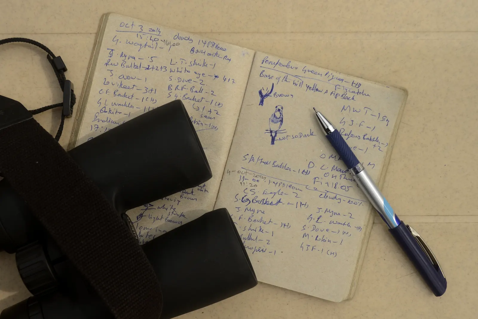 Fernglas und aufgeschlagenes Notizbuch mit Vogelbeobachtungen und Kugelschreiber